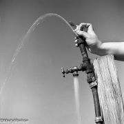 FountainCroton1980