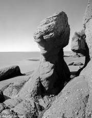 Dinosaur-Rock-Bay-of-Fundy