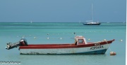 Aruba Boat