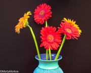 Abstract-Flowers
