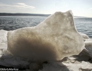 Ice Sculpture