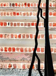 Steps-in-Abstract-Rockefeller-State-Park