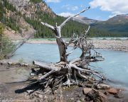 Bow-Glacier-Lake