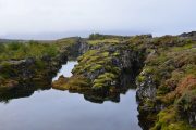 Iceland-Bog