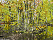 Rockefeller-Lakes-End