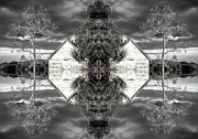 HanoverFlipVert1