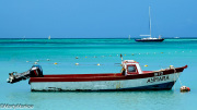 Aruba-Aymara