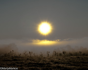 Sunrise-Stuart's-Fruit-Farm