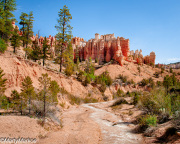 Virgin-River-Zion