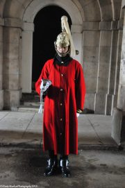 Royal-Guard